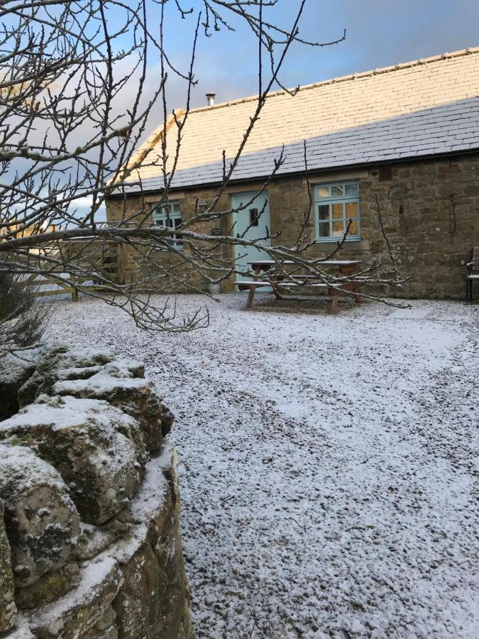 Vakantiehuis Elishaw Farm